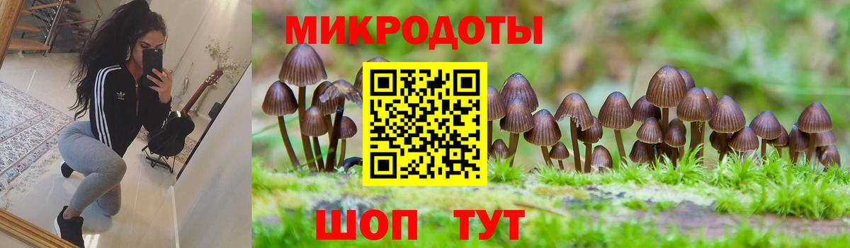 Псилоцибиновые грибы прущие грибы  Вход с VPN  Галлюциногенные грибы Psilocybe  Семёнов 